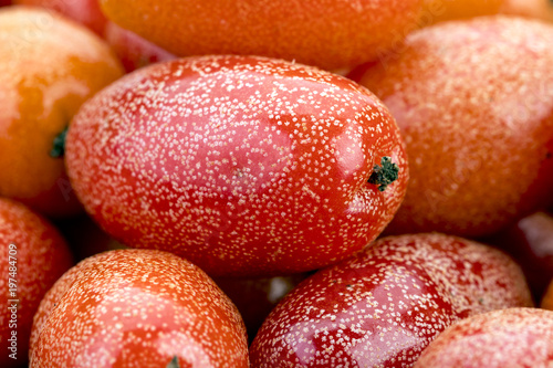 Ripe Elaeagnus latifolia fruit - closeup photo