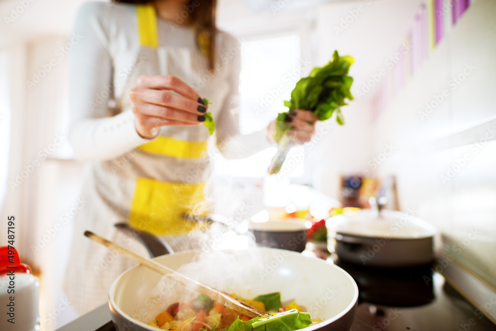 close up of Young beautiful woman hands putting just enough spice and fresh dressing on her cooking mixture in a pan on the oven. close up of Young beautiful woman hands putting just enough spice and fresh dressing on her cooking mixture in a pan on the oven.