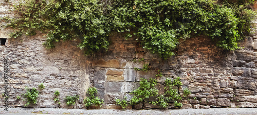 Fototapeta Naklejka Na Ścianę i Meble -  Bergamo, Italy. Stone wall old overgrown with green plants.