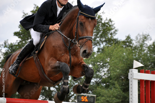Hürdenspringen beim Reitsport, ein Sportpferd mit Reiter spring über ein Hindernis beim Reitturnier,  photo