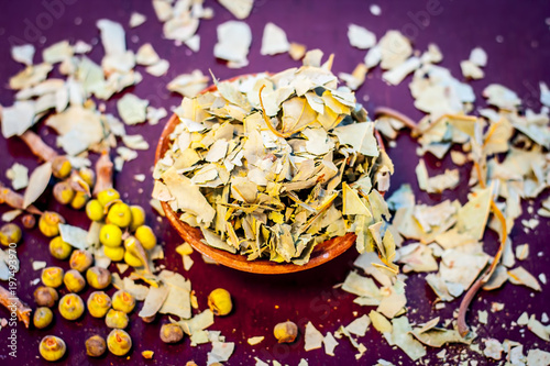 Close up of fruit and leaves of Banyan tree, Ficus benghalensis popularly known as Vadla with the powder of its leaves in a clay bowl on a wooden surface. photo