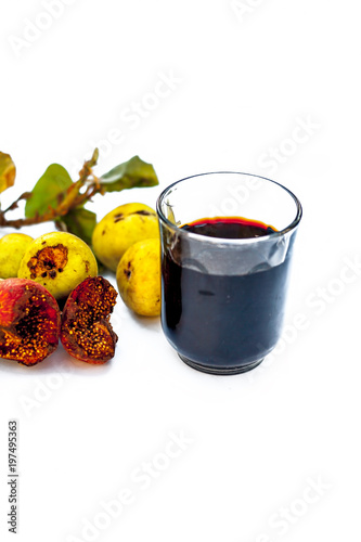 Close up of fresh leaves of Gular,Golar or Clustar Fig tree or Indian Fig tree fruit isolated on a white surface with various benefits and its beneficial extract. photo