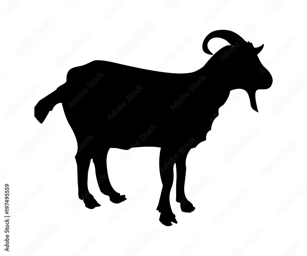 Vector silhouette of a goat isolated on white background