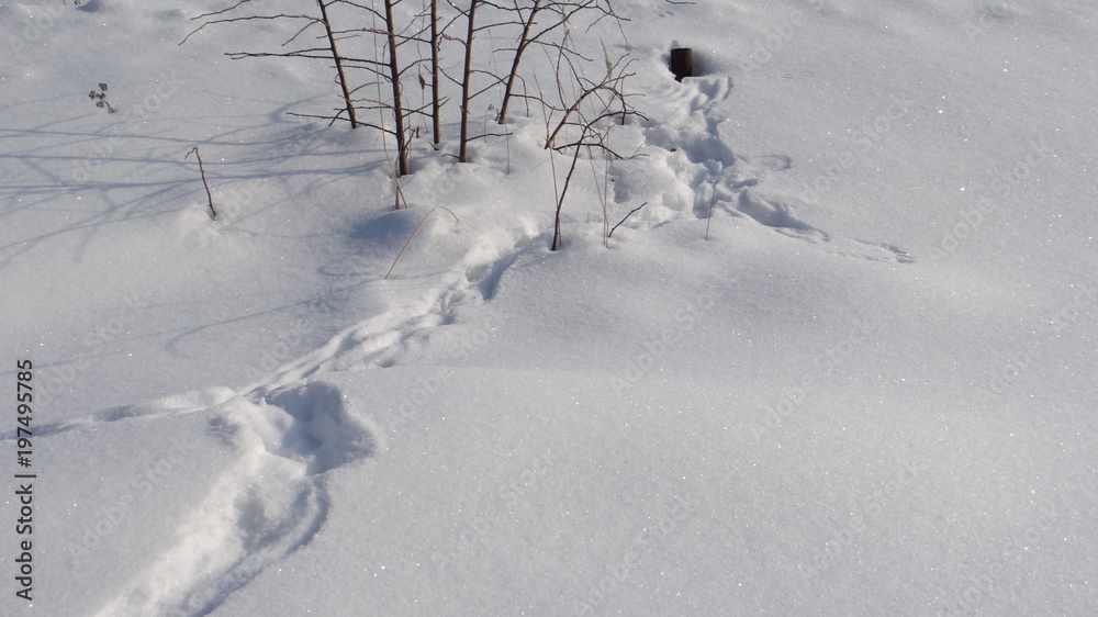 The texture of the snow and shadows.