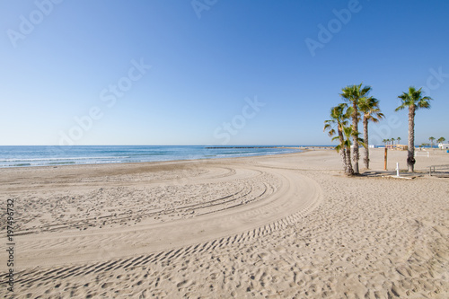 landscape Beach of Turret San Vicente or Sant Vicent, also named Torreon, in Benicassim, Castellon, Valencia, Spain, Europe. Lonely golden sand, palm trees, blue clear sky and Mediterranean Sea
 photo