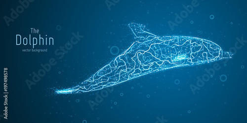 Vector illustration of blue geometric dolphin constructed with branching lines. Abstract vector of dolphin in the form of a mystic silhouette with points and lines. Wireframe concept of freedom.
