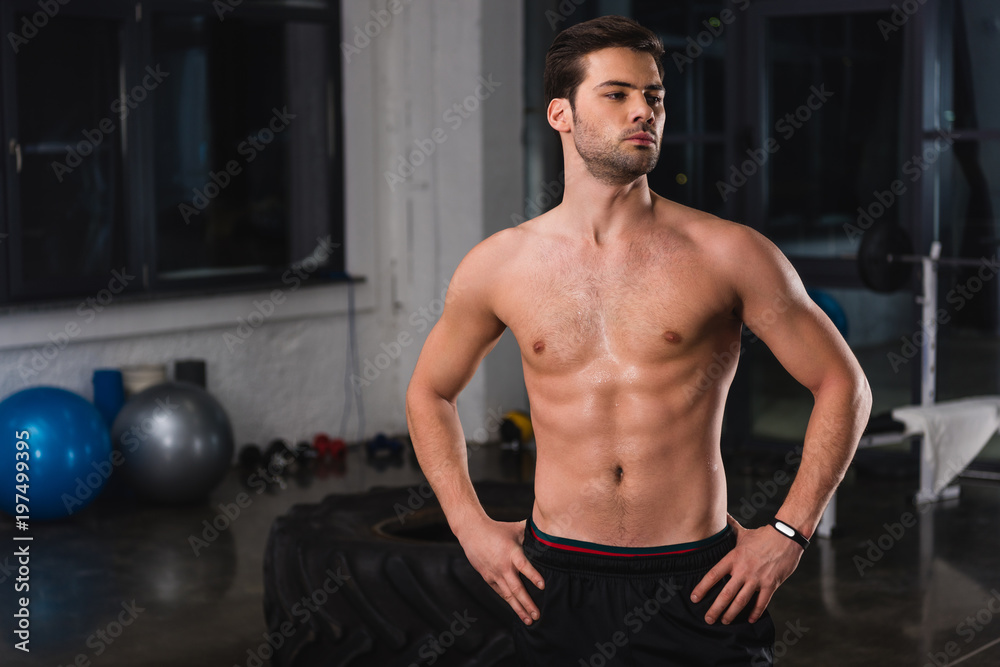 Obraz premium shirtless muscular sportsman posing in gym