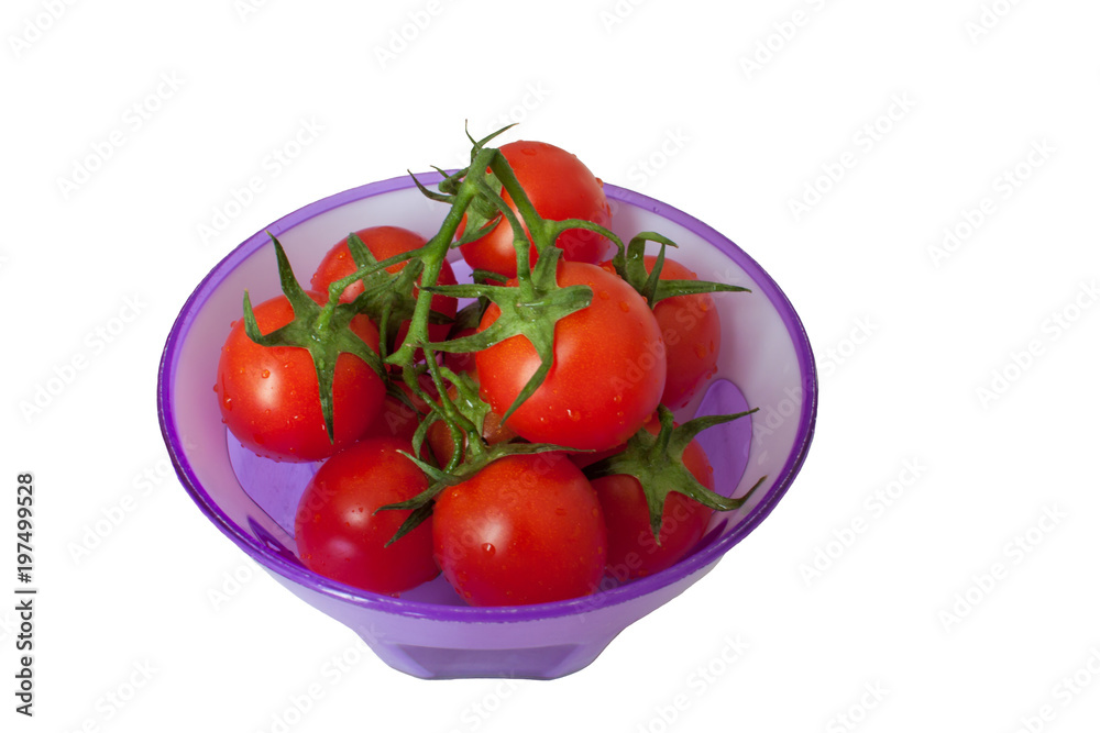 Cherry tomatoes on a branch in a vase on a white background Cherry tomatoes on a branch in a vase on a white background