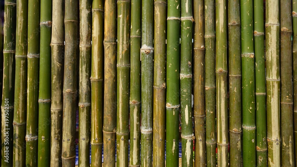 bamboo wall background texture pattern brown nature garden house wallpaper line
