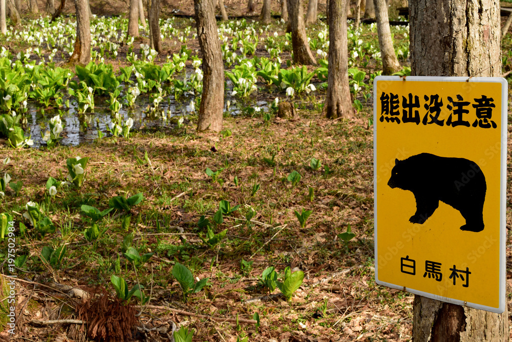 熊出没注意の看板 白馬村 Stock 写真 Adobe Stock