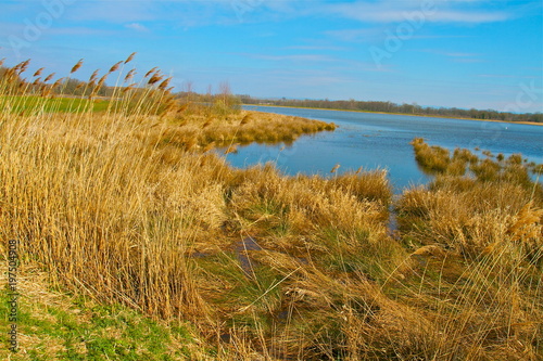 etangs de france