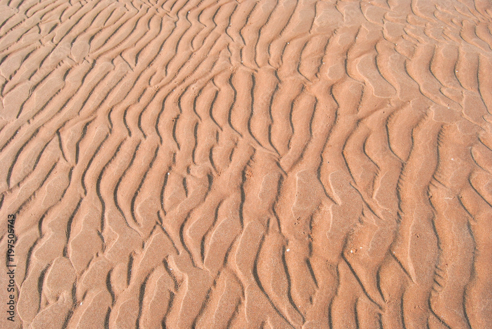 The wet sandy surface is wavy because of the waves. The wet sandy surface is wavy because of the waves.
