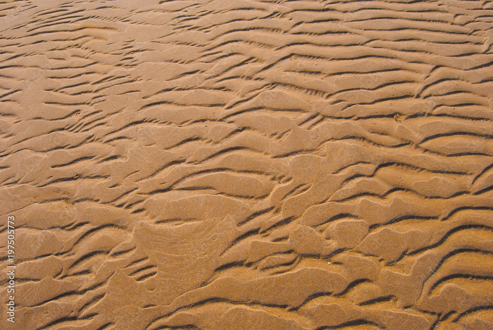 The wet sandy surface is wavy because of the waves. The wet sandy surface is wavy because of the waves.