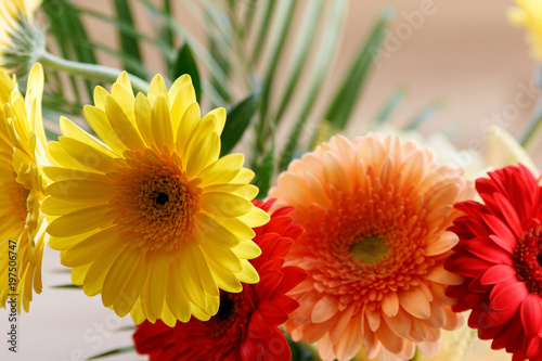 Very beautiful  colorful flowers in the room  vase