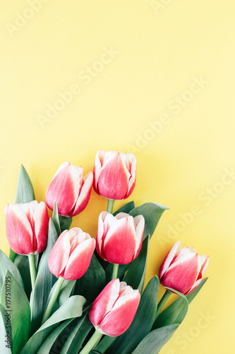 Bouquet of red tulips on yellow background. Top view, copy space.