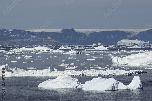 Giant Icebergs of Illulisat, Greenland, floating on water, a popular cruise destination