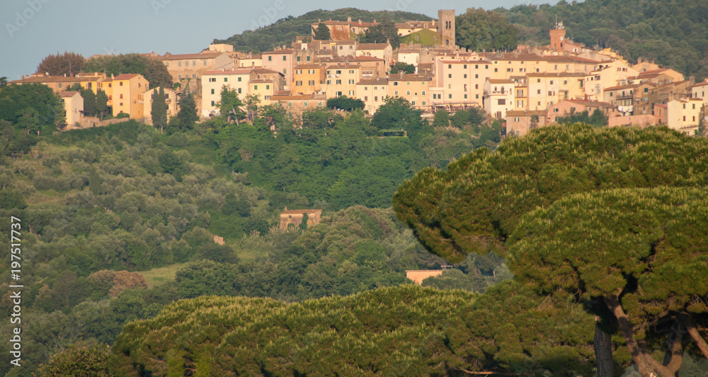 Obraz premium Tuscan Countryside