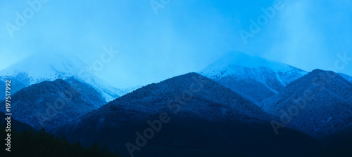 Mountain snow peak  beautiful natural winter backdrop. Snow-covered Pine forest on top of the hill  blue sky background. Alpine landscape.