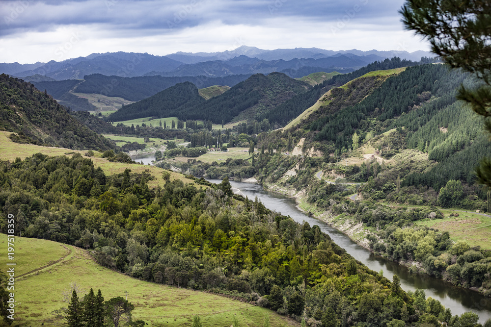 Landschaft am Wanganui River, Neuseeland,Nordinsel