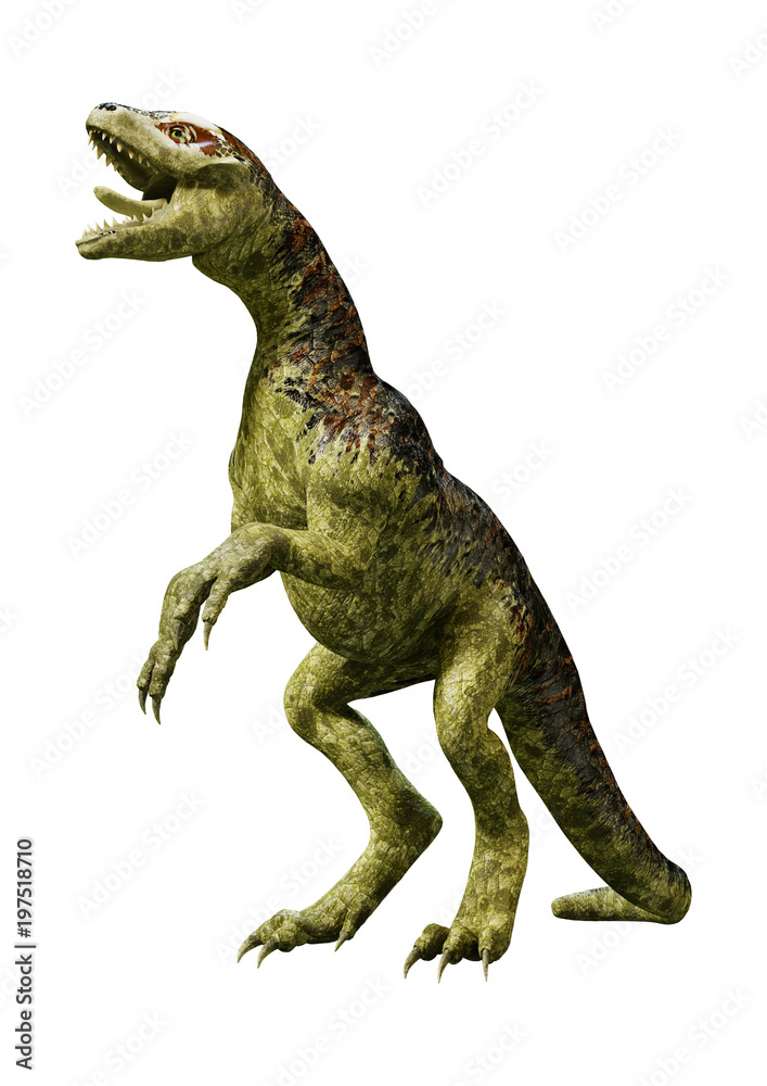 3D Rendering Dinosaur Tyrannosaurus Hatchling on White 3D Rendering Dinosaur Tyrannosaurus Hatchling on White