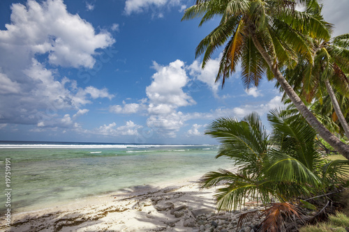Palmen und Traumst  nde im Cocos Keeling Atoll  Australien  Indischer Ozean
