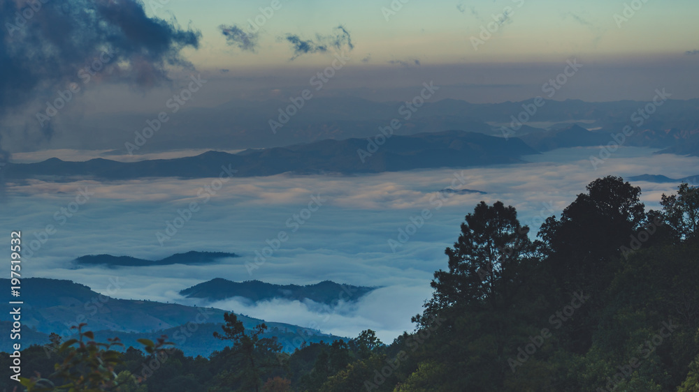 Tropical rainforest with mountain and mist in the morning at Doi Inthanon National park, Thailand.