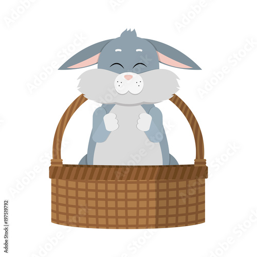 tender wild rabbit animal inside hamper