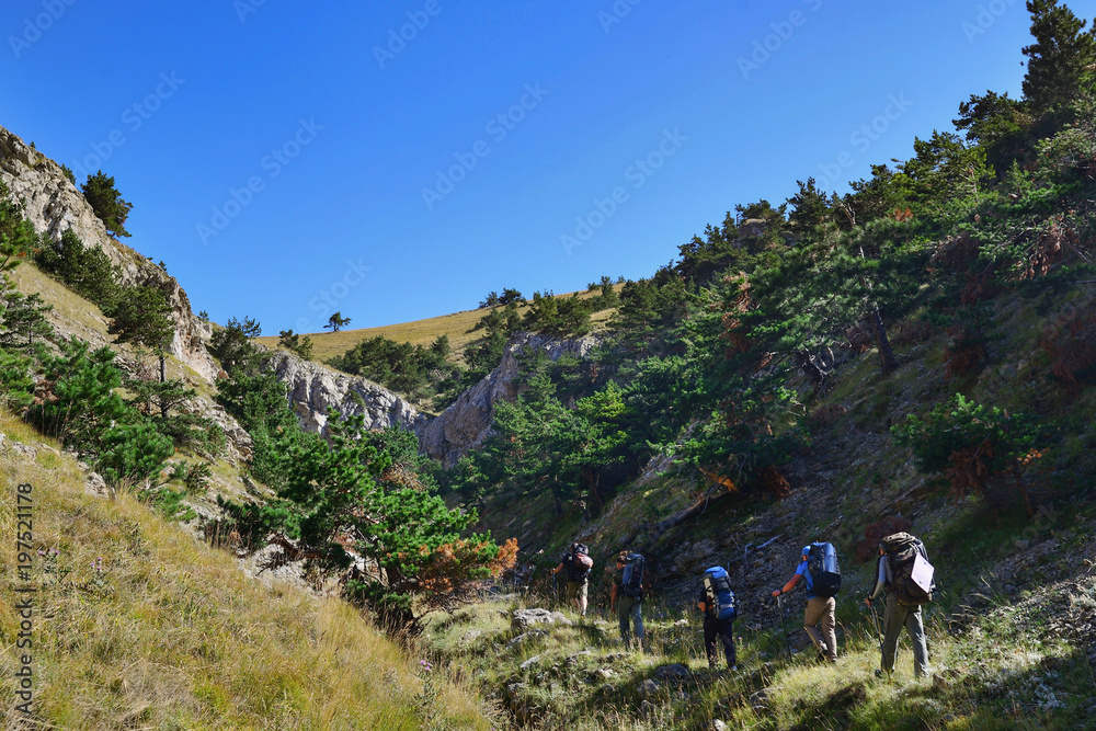 Tourists go to the mountain in the afternoon in the summer