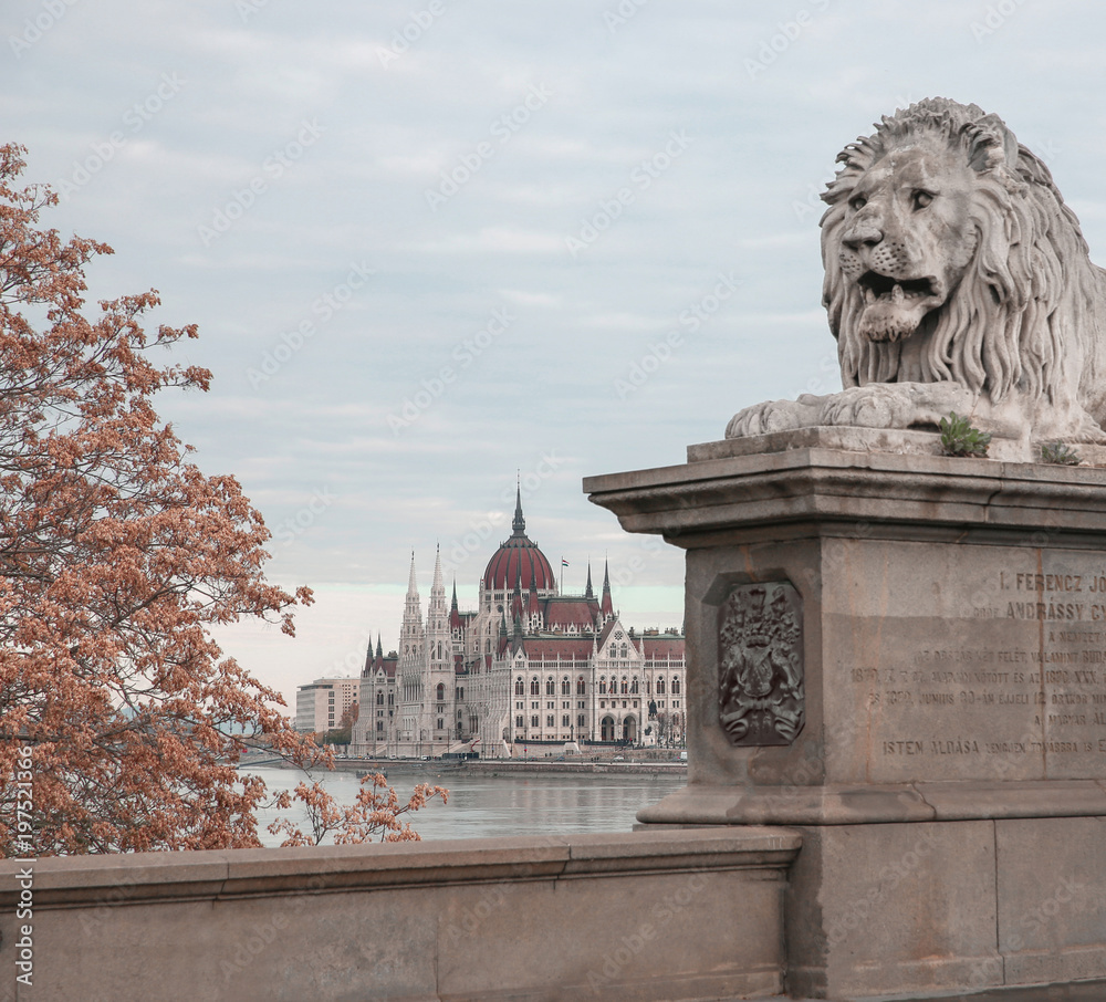 View from the Chain bridge with lion through Danube river on Hungarian Parliament.