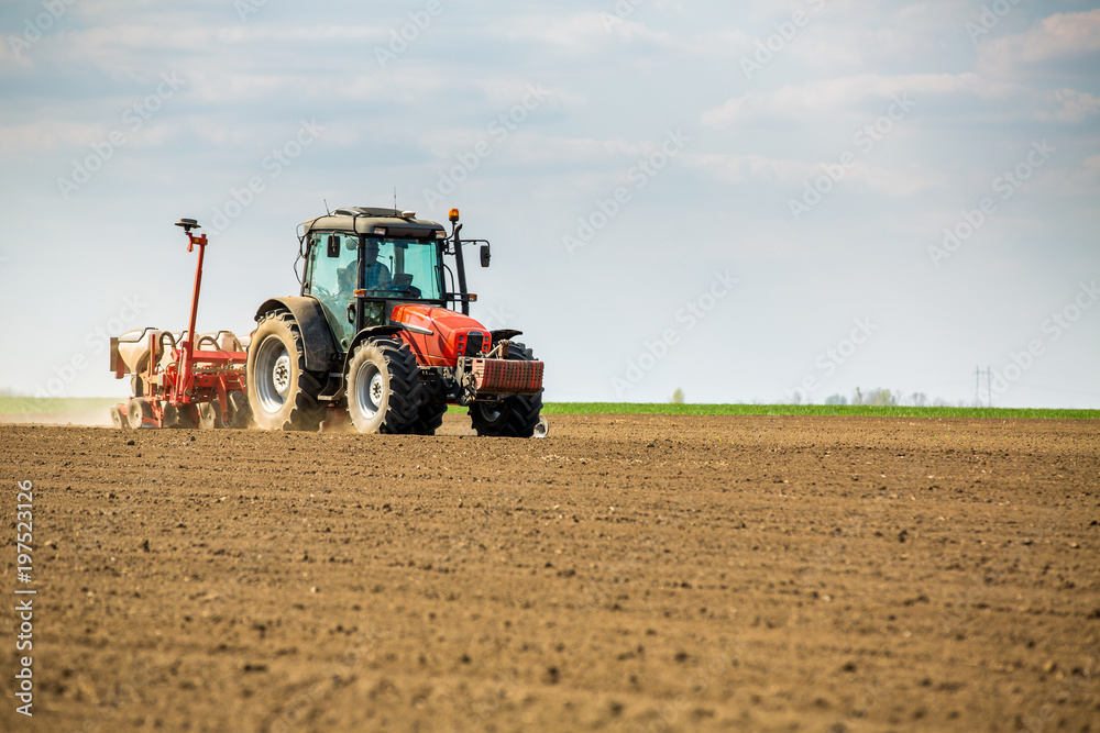Obraz premium Farmer seeding, sowing crops at field. Sowing is the process of planting seeds in the ground as part of the early spring time agricultural activities.
