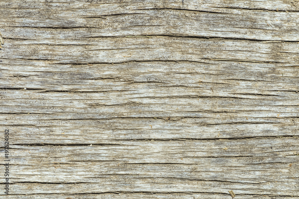 Texture of the old wooden cracked board surface Texture of the old wooden cracked board surface