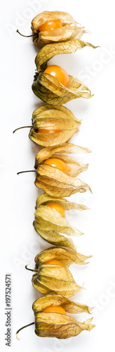 Physalis  fruits with papery husk