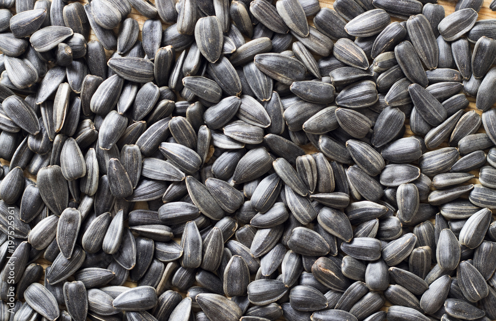 Black sunflower seeds. For texture or background Black sunflower seeds. For texture or background