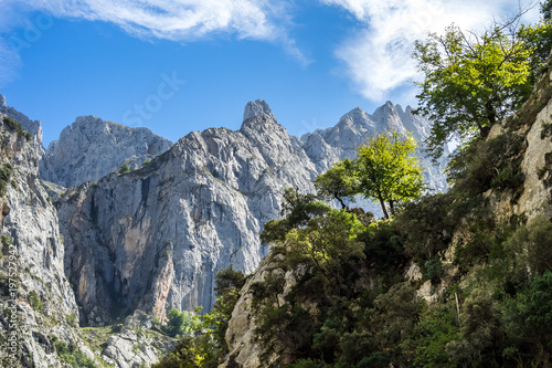 Spanien - Kantabrien - Picos de Europa - Garganta del Cares © rudiernst