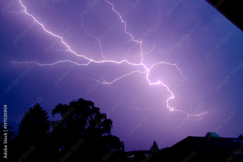 purple lightning  - obrazy, fototapety, plakaty 