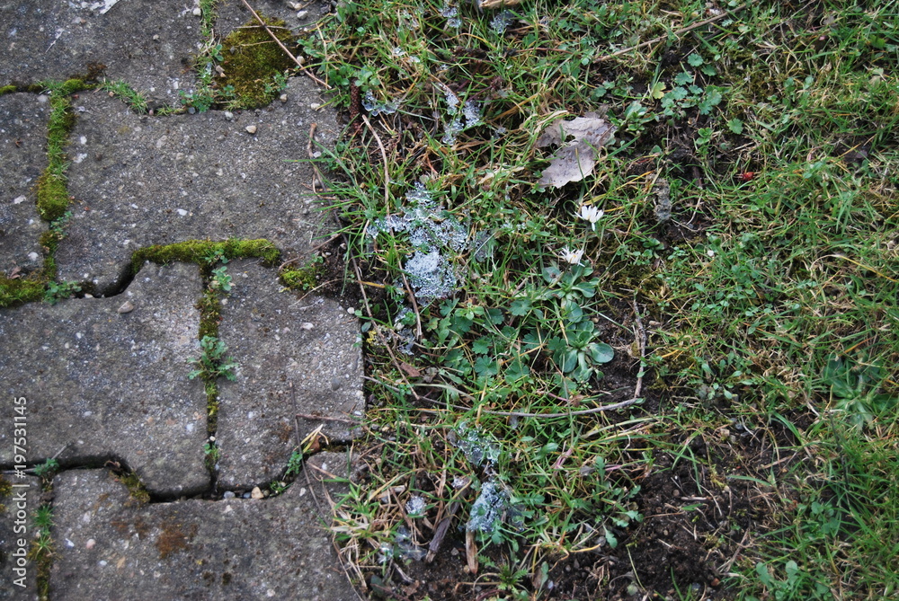 Fototapeta premium Am Rad Steinweg