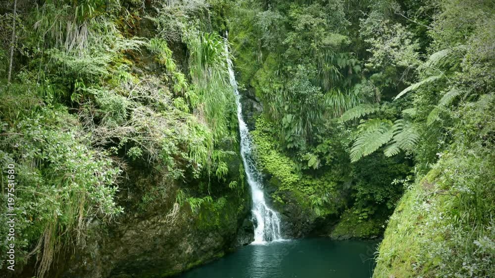 New Zealand: Karamatura Falls. Waterfall in lush green subtropical rain forest. Beautiful nature scene. Location: Waitakere Ranges Regional Park, West Auckland, New Zealand. New Zealand: Karamatura Falls. Waterfall in lush green subtropical rain forest. Beautiful nature scene. Location: Waitakere Ranges Regional Park, West Auckland, New Zealand.