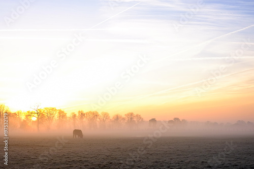 Natural sunset or sunrise over a field or meadow with a bright and dramatic sky and dark ground at the countryside