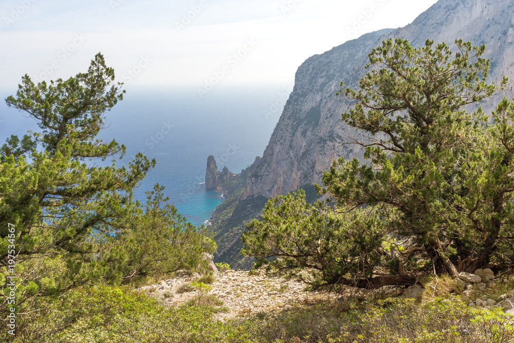 Fototapeta premium Baunei, Punta Giradili, Sardegna, Italy