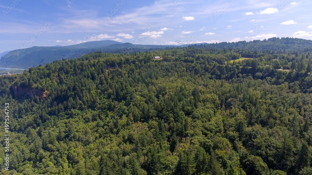 Obraz premium Aerial panoramic view of Columbia River Gorge , USA
