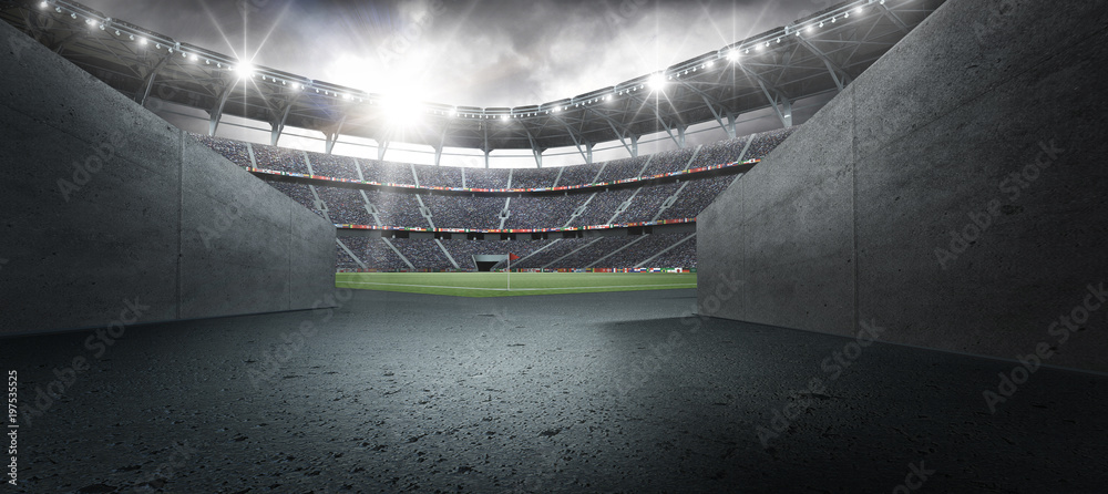 Naklejka premium The stadium