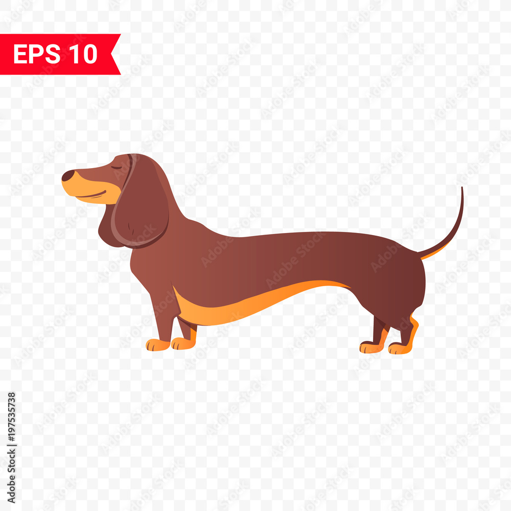 Happy dachshund. Vector flat illustration. World Pet Day