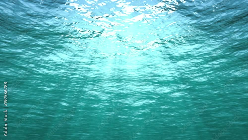 Starting underwater and rising above ocean surface. Two loops (first and last 9 seconds). See my portfolio for alternative version (starts above water and dives down under the sea).