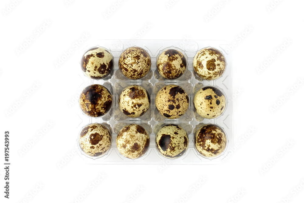 Quail eggs in transparent plastic container on white background. Top view.