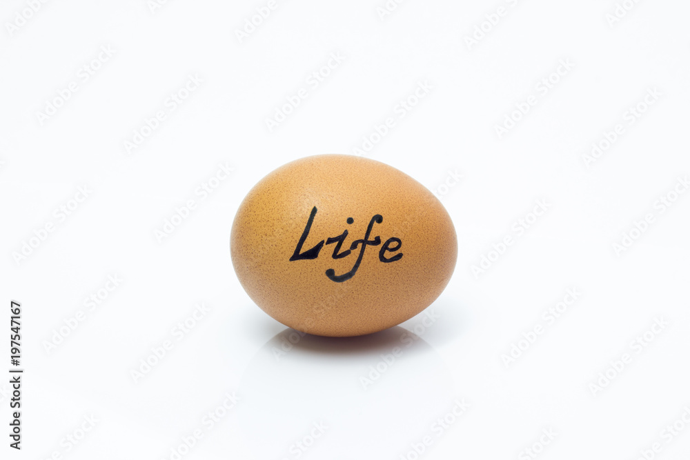 The concept of the origin of life, the egg as a symbol of life The concept of the origin of life, the egg as a symbol of life