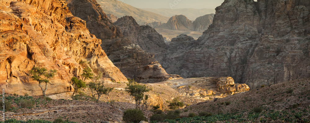 golden light in canyon in Jordan