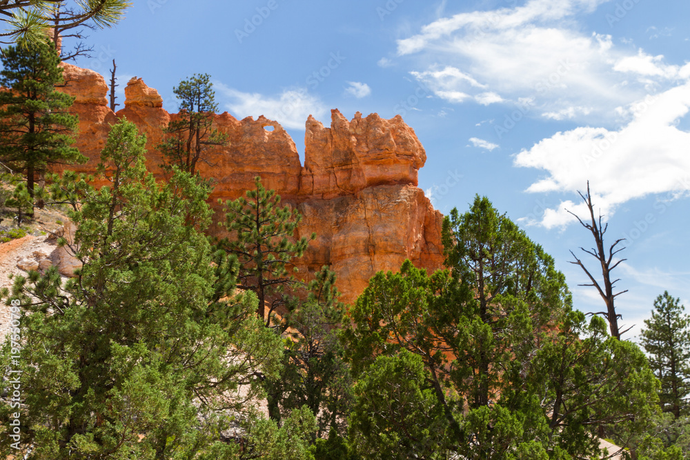 Bryce Canyon 28