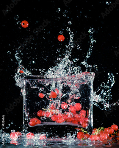 Splash Fruits
