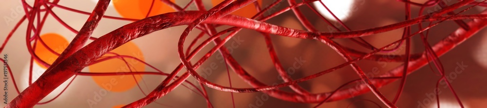 veins, blood vessels 3D rendering Stock Illustration | Adobe Stock