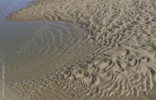 Natural ripples and patterns in wet sand